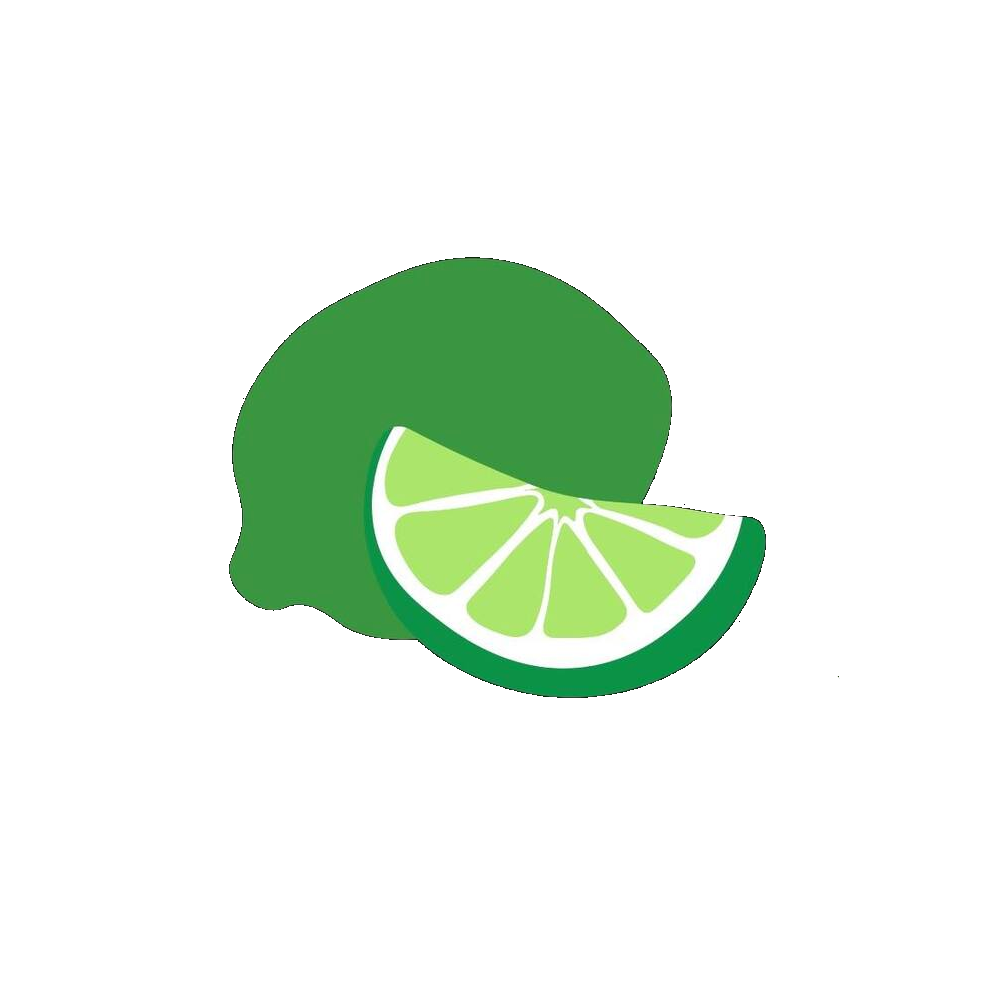 Fresh Lime Soda Co fresh-lime-soda-co
